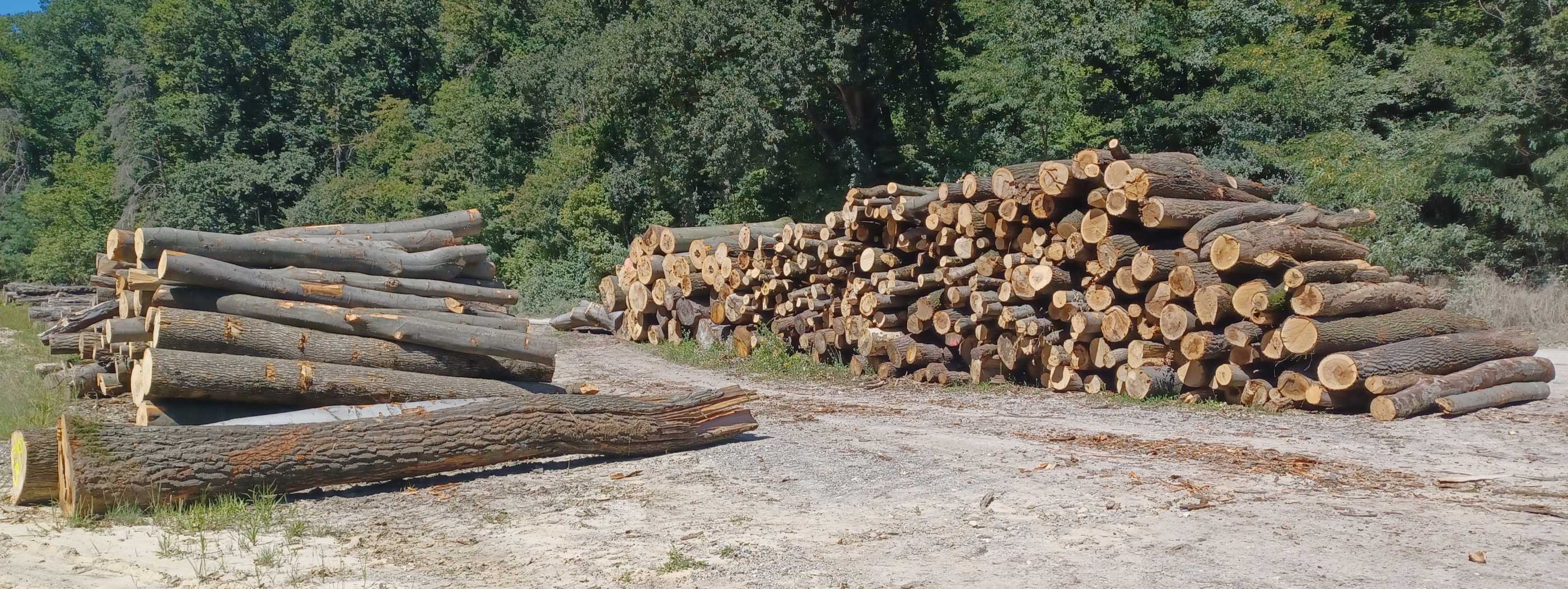 Lesy Jablonica